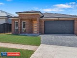 8 Everlasting Street, DENHAM COURT NSW 2565