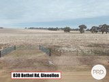 838 Bethel Road, GLENELLEN NSW 2642