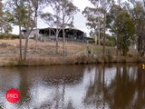 86 Whiskers Creek Road, CARWOOLA NSW 2620