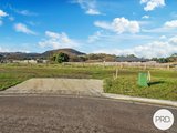 88 Benjamin Terrace, NEW NORFOLK TAS 7140