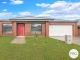 9 Grammar Drive, LAVINGTON NSW 2641