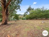 Lot 1 140 Wyre Forest Road, MOLESWORTH TAS 7140