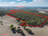 Lot 18 203 Rifle Butts Road, BEAUFORT VIC 3373