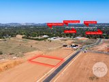 Lot 234 Coachwood Drive, LAKE ALBERT NSW 2650