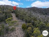 Lot 3 & 5 482 Molesworth Road, MOLESWORTH