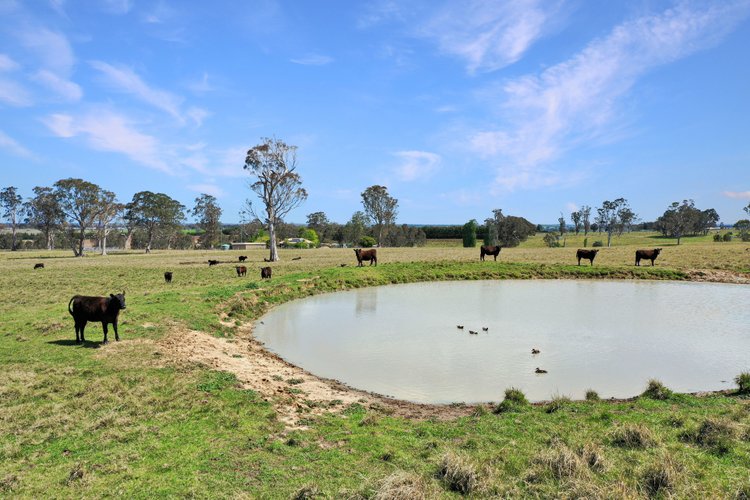 10 Dockertys Road, Wy&nbsp;Yung