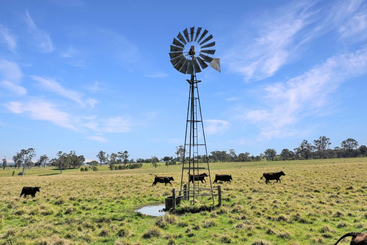 10 Dockertys Road, Wy&nbsp;Yung