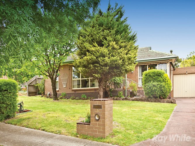 10 Greenwich Court Glen Waverley 3150