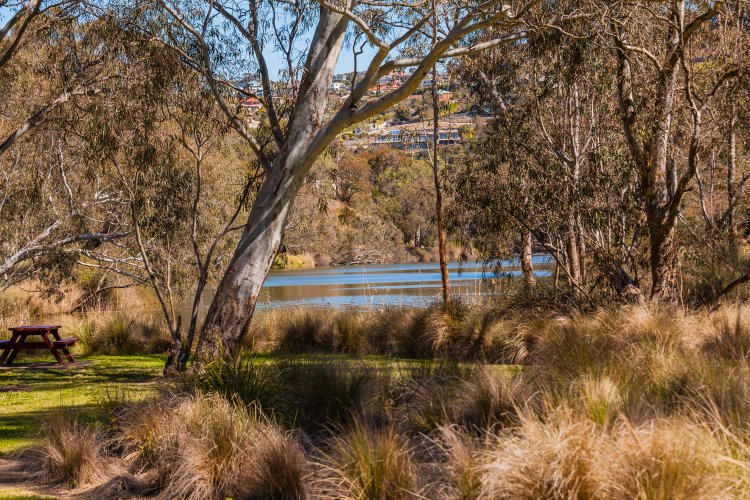 10 Wallaroo Way, Highton