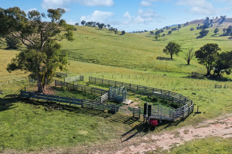 100 Dukes Access Road, Ensay