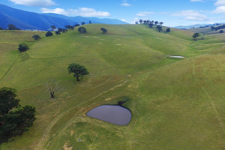 100 Dukes Access Road, Ensay