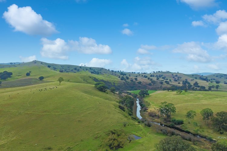 100 Dukes Access Road, Ensay