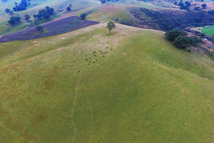 100 Dukes Access Road, Ensay