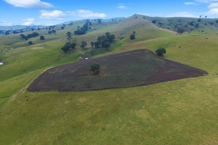 100 Dukes Access Road, Ensay