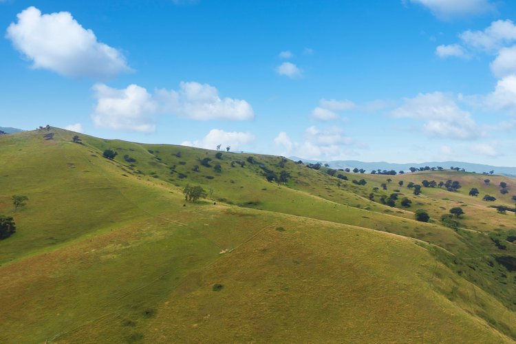 100 Dukes Access Road, Ensay