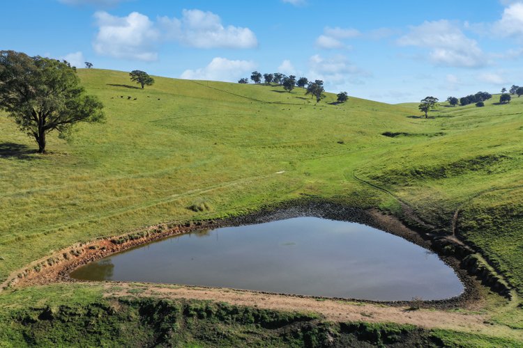 100 Dukes Access Road, Ensay