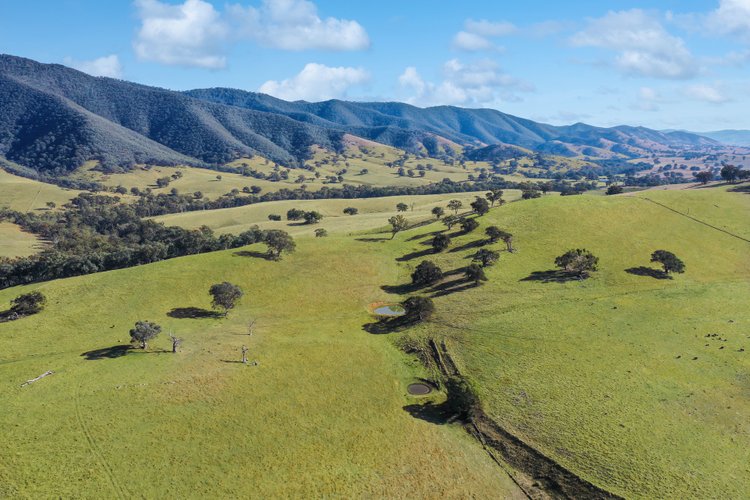 100 Dukes Access Road, Ensay