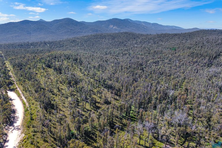 107 Buldah Road, Chandlers&nbsp;Creek