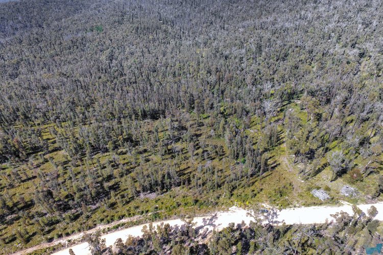 107 Buldah Road, Chandlers&nbsp;Creek