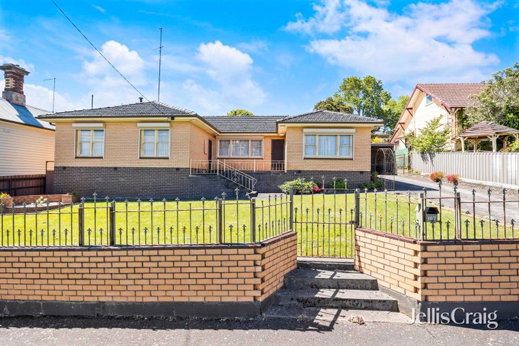 107 Chisholm Street Soldiers Hill 3350