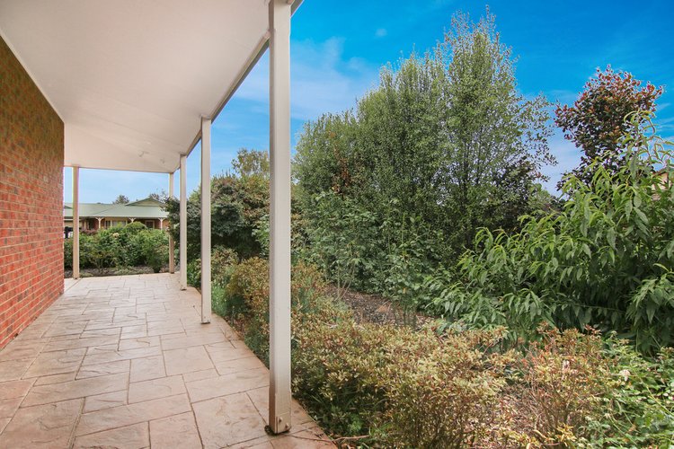 11 Alfred Place, Eastwood