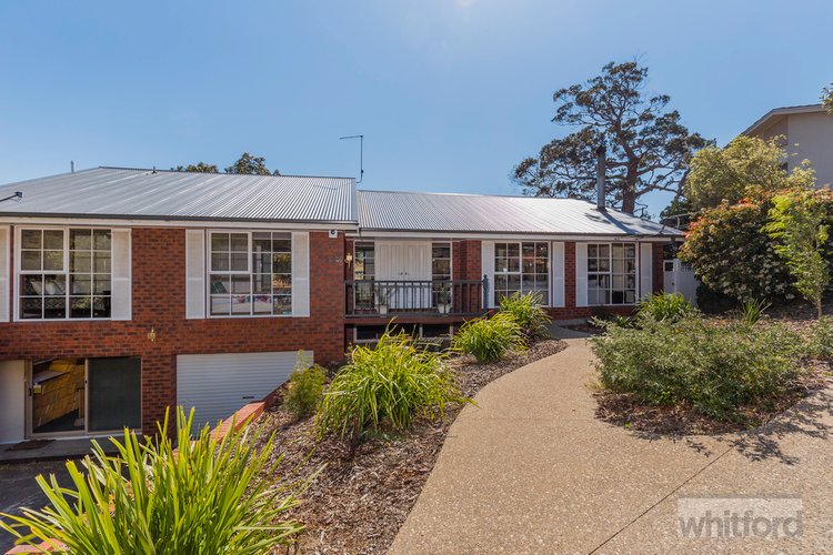 11 Mayfair Drive, Newtown