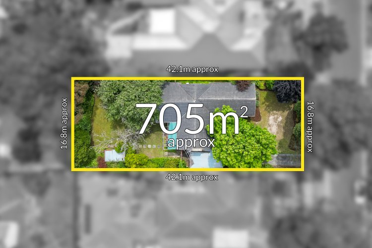 11 Pepperell Avenue Glen Waverley 3150