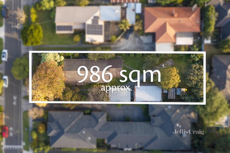 11 Vasey Avenue Mount Waverley 3149