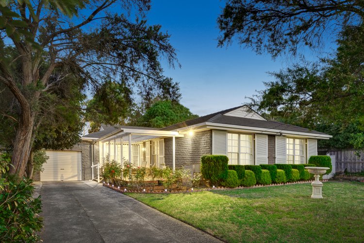 113 Therese Avenue Mount Waverley 3149