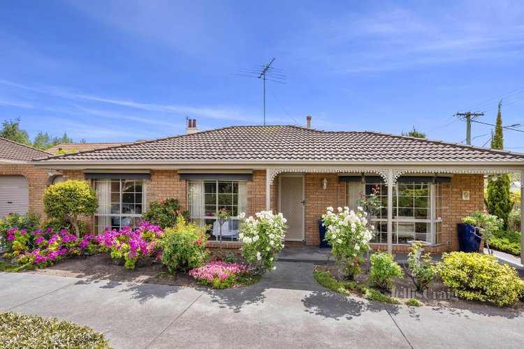 1 133 Aberdeen Street Newtown 3220