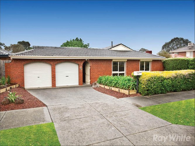 116 Berrabri Drive Scoresby 3179