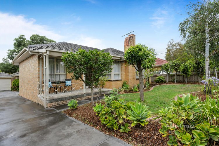1 17 Box Avenue Forest Hill 3131