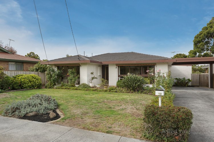 12 Kellaway Street Mount Waverley 3149