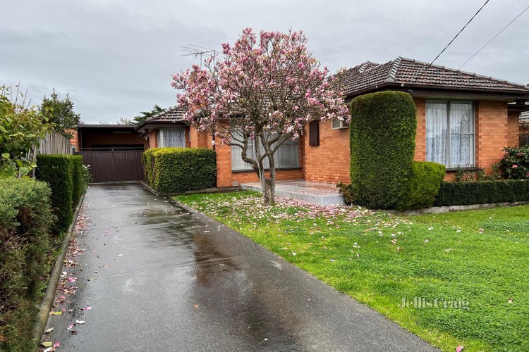 12 Olive Avenue Mount Waverley 3149