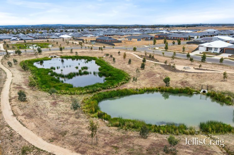 12 Tuckeroo Street  Winter Valley 3358