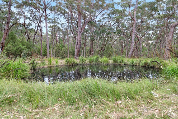 121 Marlo-Cabbage Tree Road, Marlo