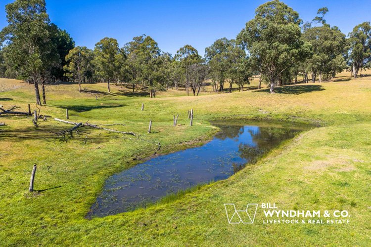 125 Bethross Drive, Tambo&nbsp;Upper