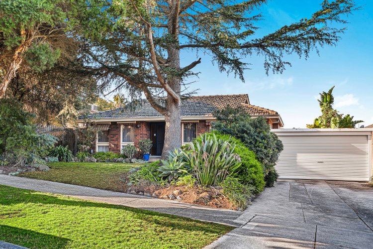13 Cicada Court Mulgrave 3170