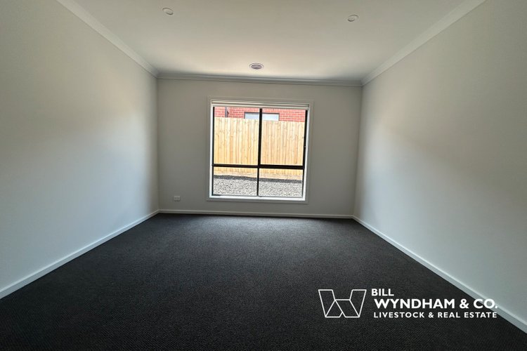 13 Messmate Mews Mews, Lucknow