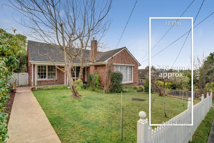 13 Panfield Avenue Ringwood 3134