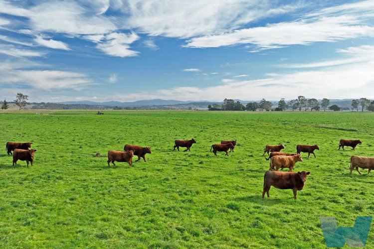 135 Woodglen Road, Woodglen