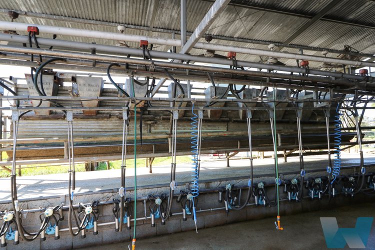 139 Old Marlo Road, Marlo