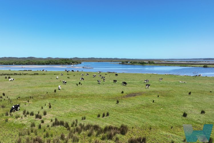 139 Old Marlo Road, Marlo