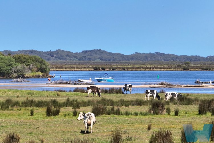 139 Old Marlo Road, Marlo