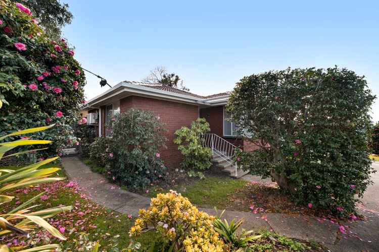 1/39 Percy Street Mitcham 3132