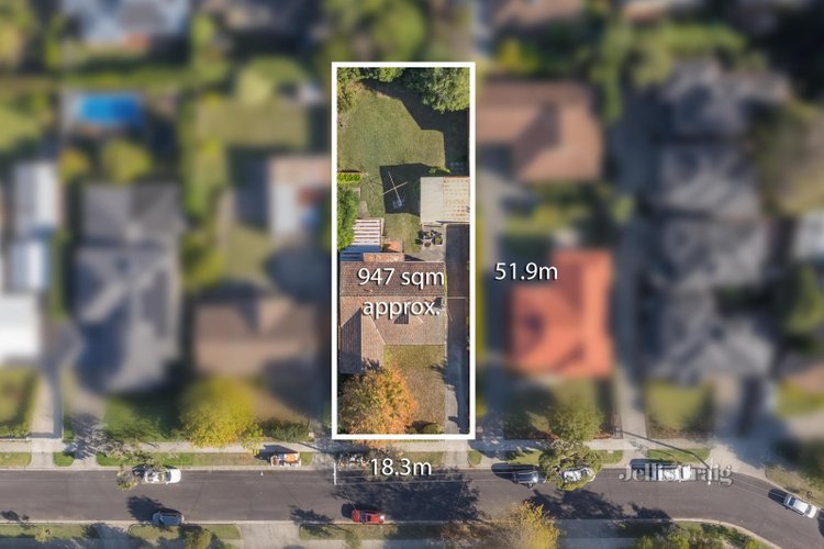 14 Hamilton Avenue Blackburn 3130