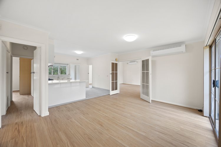 14 Hamilton Avenue Blackburn 3130