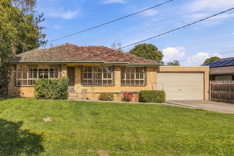 14 Hendra Grove  Ringwood 3134