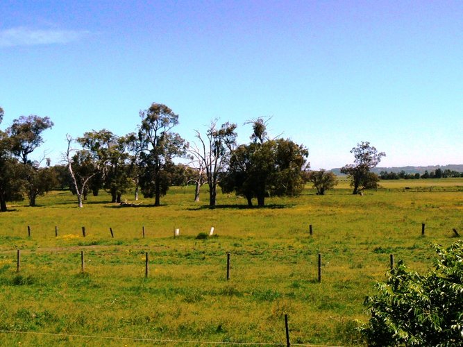 141 Jarrahmond Road, Orbost