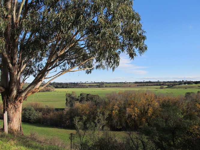 15 Brown Street, Bairnsdale